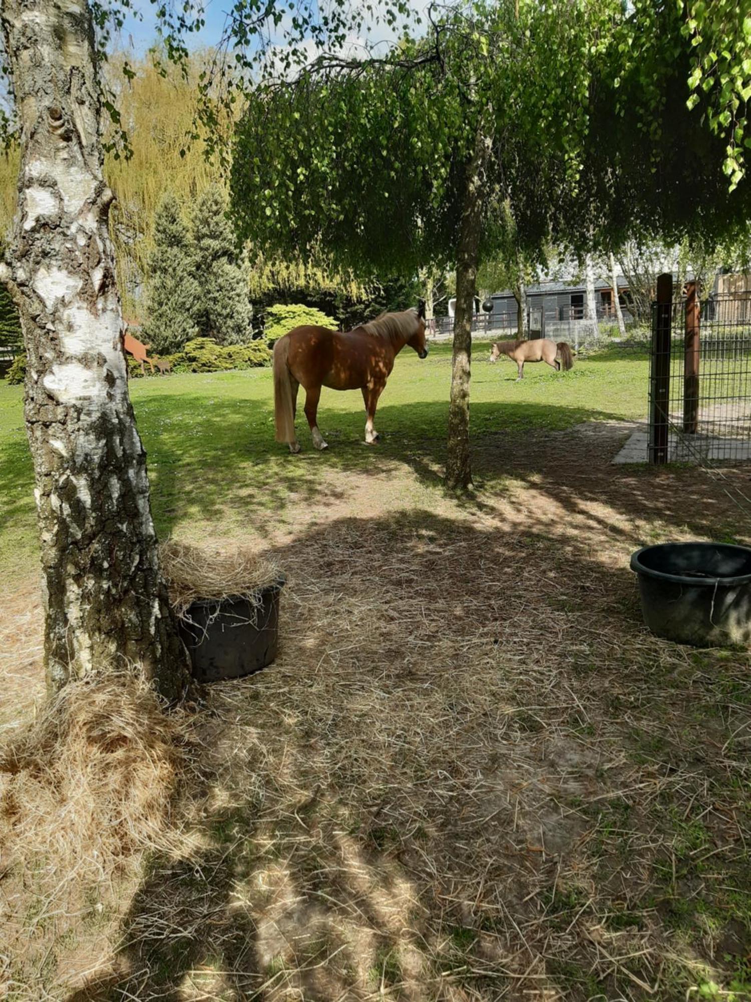 De Vrijheid En De Ruimte In Steenbergen Holiday home *